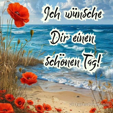 Spruch wünsche schönen tag guten morgen grüße für whatsapp bild Meer kostenlos