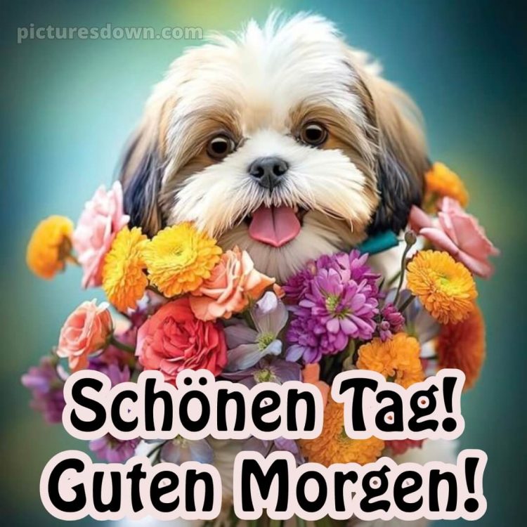 Spruch wünsche schönen tag guten morgen grüße für whatsapp bild Hund kostenlos