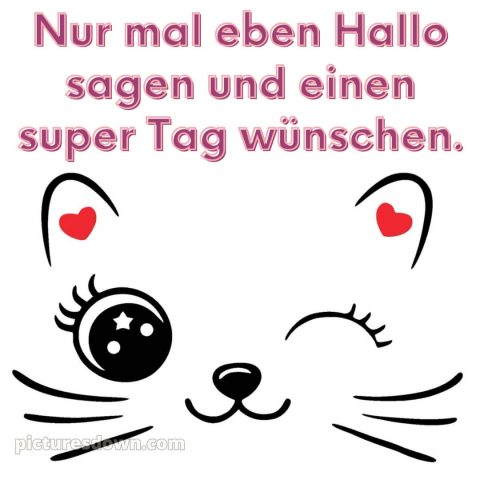 Whatsapp lustig schönen tag bild Katze kostenlos