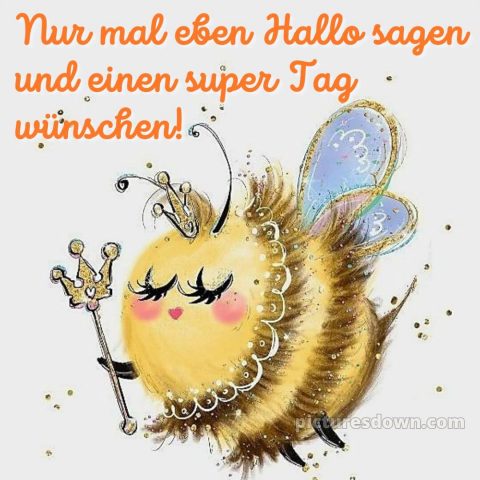 Whatsapp lustig schönen tag bild Biene kostenlos