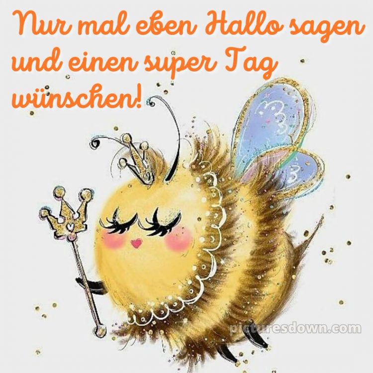 Whatsapp lustig schönen tag bild Biene kostenlos