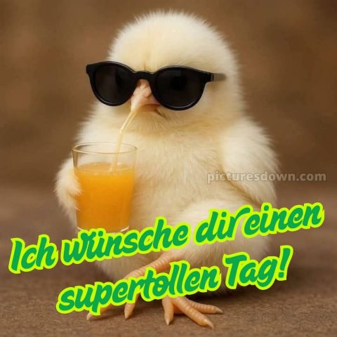 Whatsapp lustig schönen tag bild Huhn kostenlos