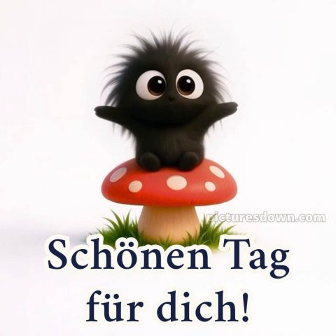 Whatsapp lustig schönen tag bild Pilz kostenlos