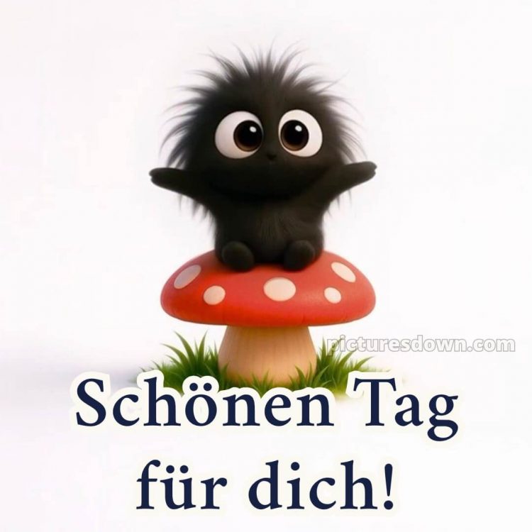 Whatsapp lustig schönen tag bild Pilz kostenlos