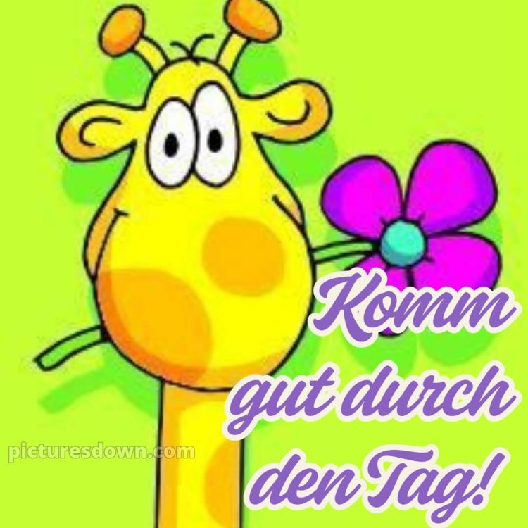 Whatsapp lustig schönen tag bild Giraffe kostenlos