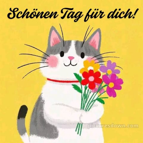 Whatsapp lustig schönen tag bild Kitty kostenlos