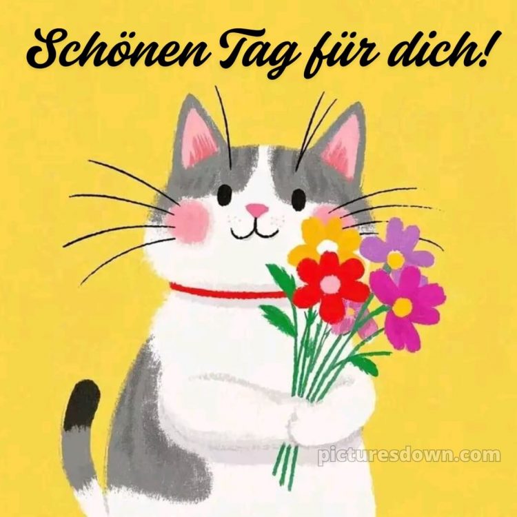 Whatsapp lustig schönen tag bild Kitty kostenlos