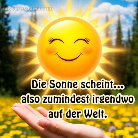 Whatsapp lustig schönen tag bild Natur kostenlos