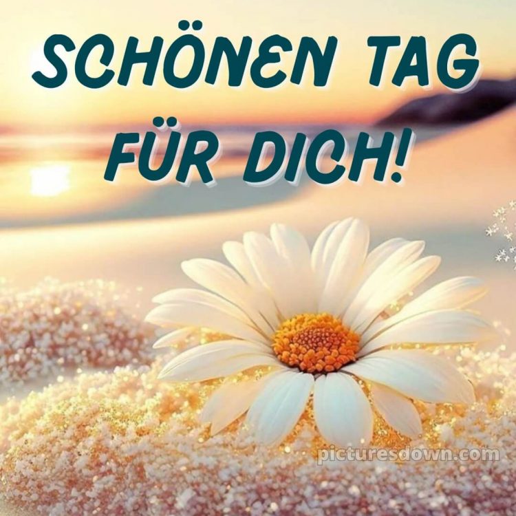 Whatsapp schönen tag bild Sand kostenlos