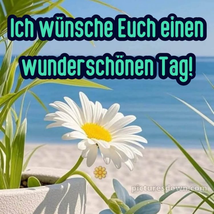 Whatsapp schönen tag bild Strand kostenlos