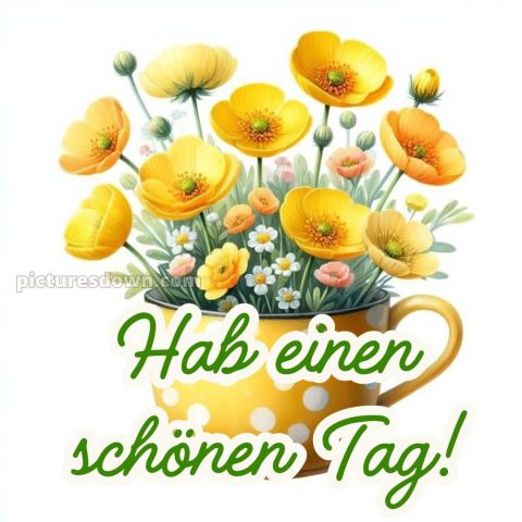 Whatsapp schönen tag bild Blumen kostenlos