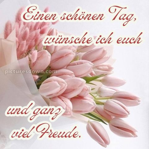 Whatsapp schönen tag bild Tulpen kostenlos