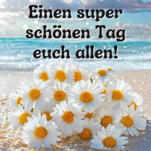 Whatsapp schönen tag bild Meer kostenlos