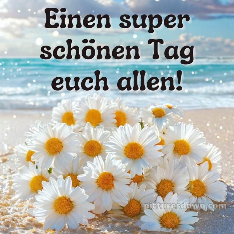 Whatsapp schönen tag bild Meer kostenlos