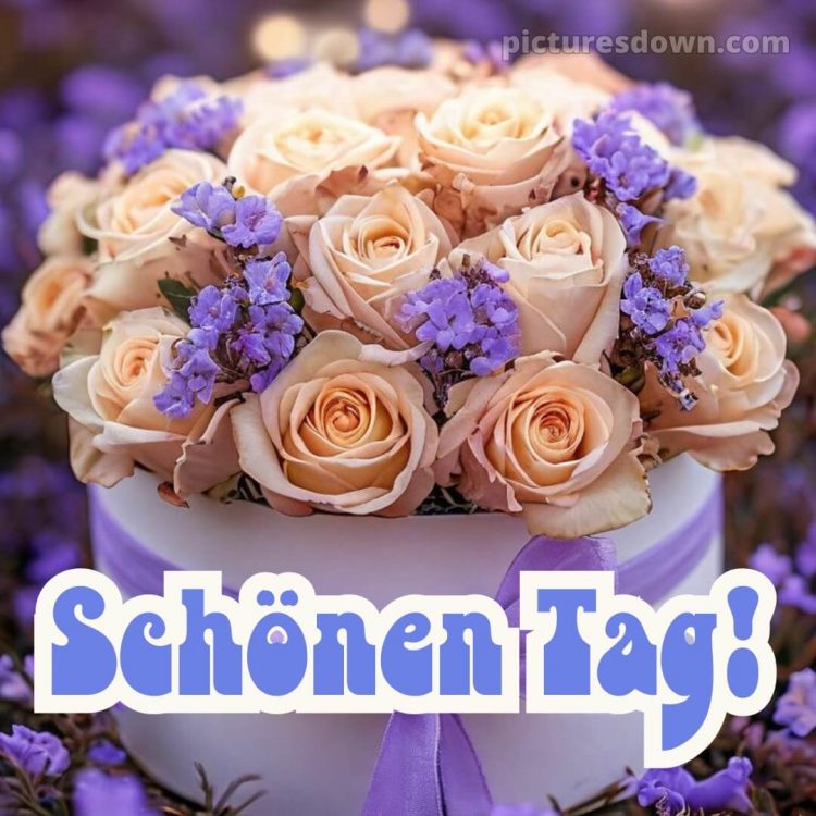 Whatsapp schönen tag bild Strauß kostenlos