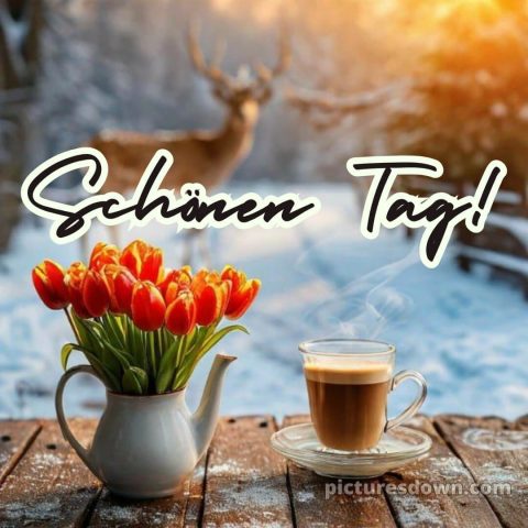 Wünsche einen schönen tag bild Schnee kostenlos