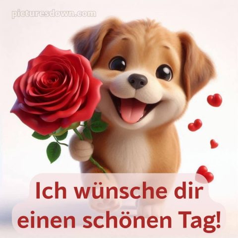 Wünsche einen schönen tag bild Rose kostenlos