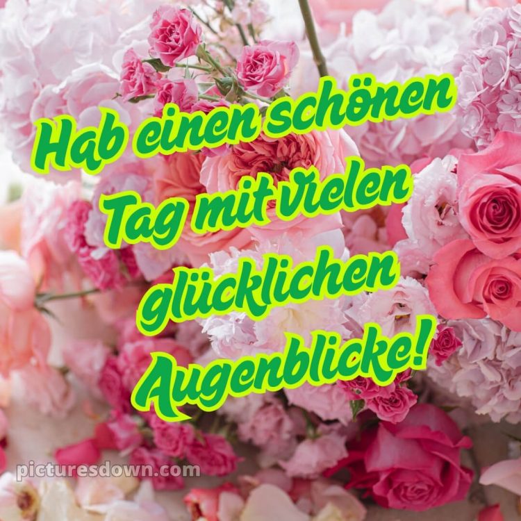 Wünsche einen schönen tag bild Blumen kostenlos