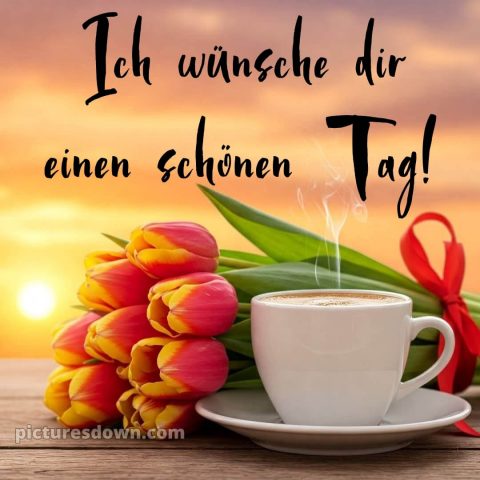 Wünsche einen schönen tag bild Tulpen kostenlos