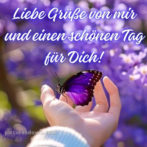 Wünsche einen schönen tag bild Hand kostenlos