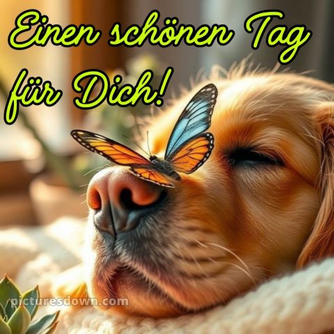 Wünsche einen schönen tag bild Nase kostenlos