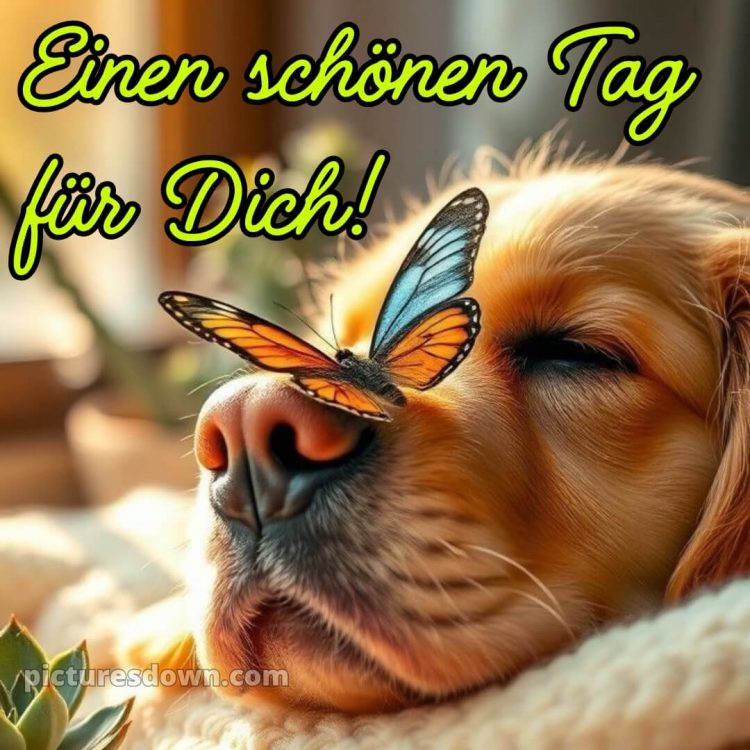 Wünsche einen schönen tag bild Nase kostenlos