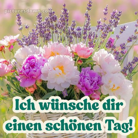 Wünsche einen schönen tag bild Blumenstrauß kostenlos