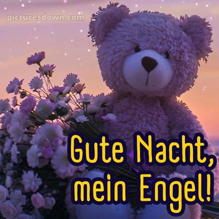 Gute nacht ich liebe dich bilder bild Bär kostenlos