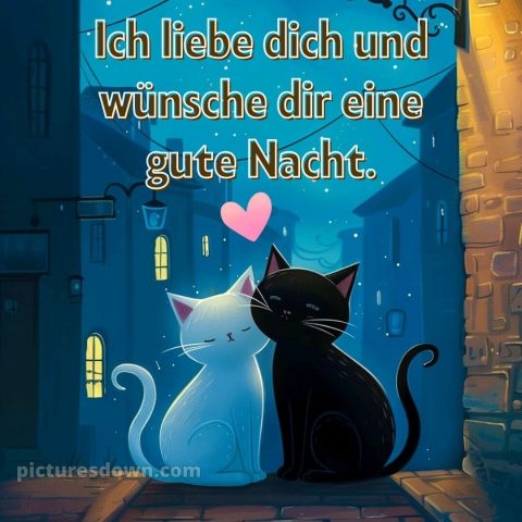 Gute nacht ich liebe dich bilder bild zwei Katzen kostenlos