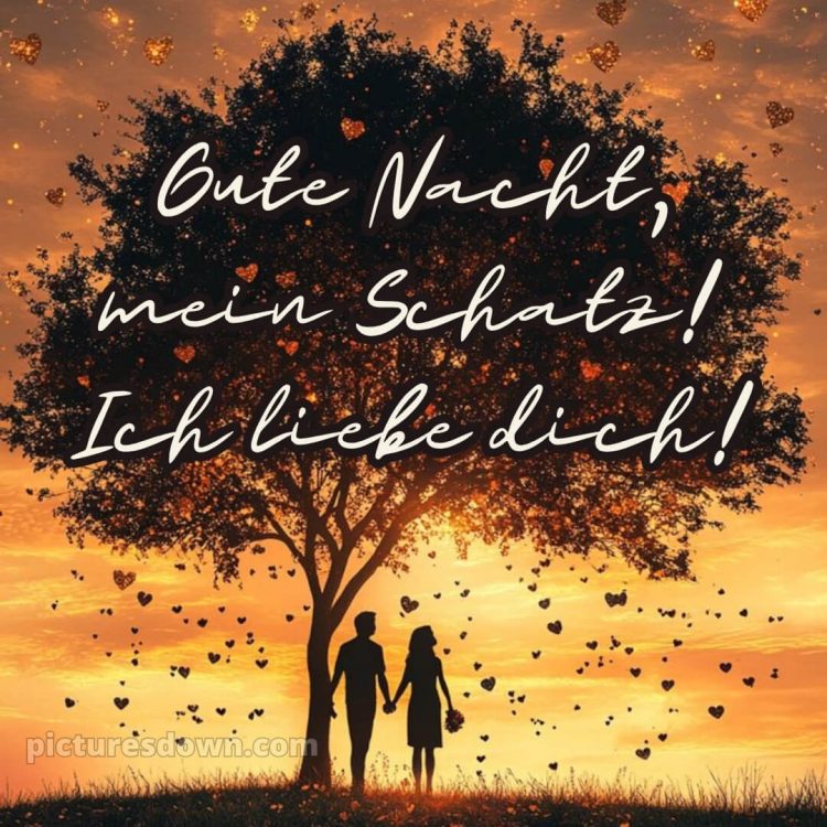 Gute nacht mein schatz ich liebe dich bilder bild Baum kostenlos