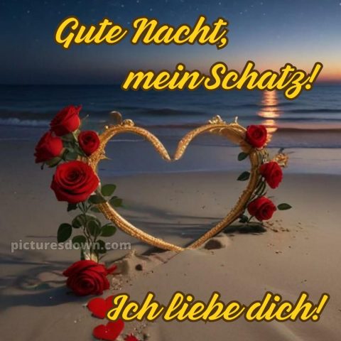 Gute nacht mein schatz ich liebe dich bilder bild Rosen kostenlos