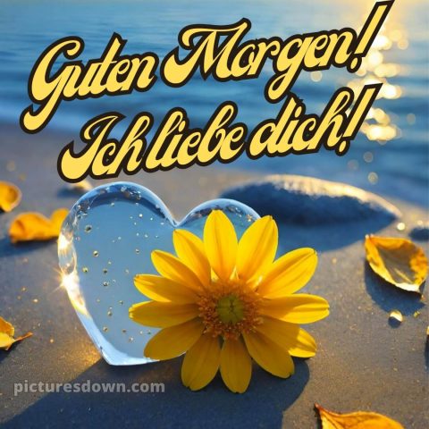 Guten morgen ich liebe dich bilder bild Sand kostenlos