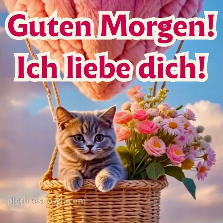 Guten morgen mein schatz ich liebe dich bilder bild Korb kostenlos
