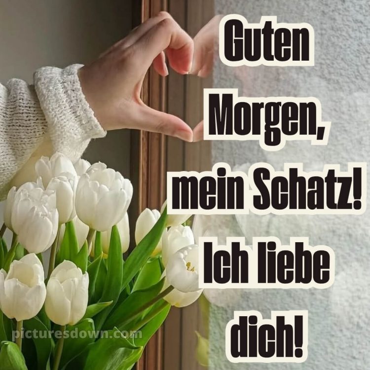 Guten morgen mein schatz ich liebe dich bilder bild Hand kostenlos