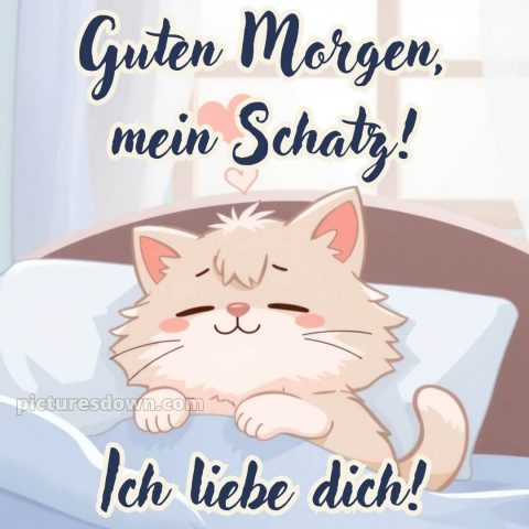 Guten morgen mein schatz ich liebe dich bilder bild Katze kostenlos