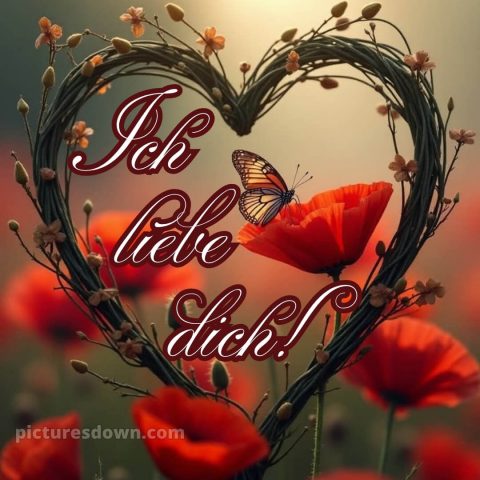 Ich liebe dich bilder bild Schmetterling kostenlos