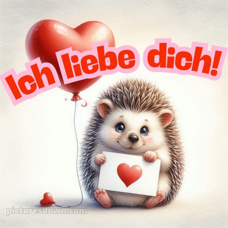 Ich liebe dich bilder bild Igel kostenlos