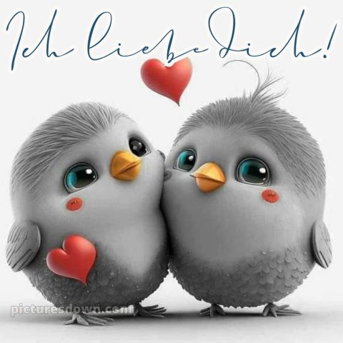Ich liebe dich bilder bild Vögel kostenlos