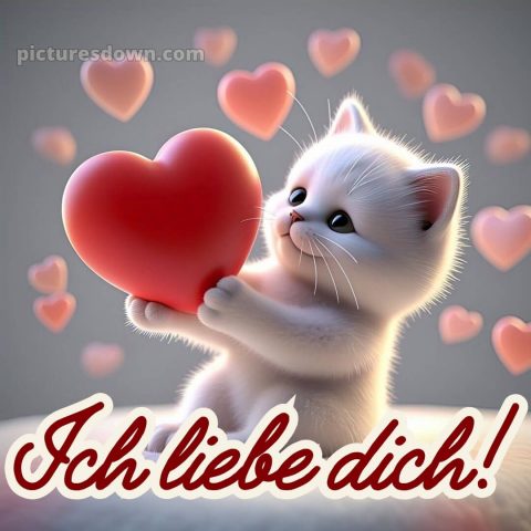Ich liebe dich bilder bild Herz kostenlos