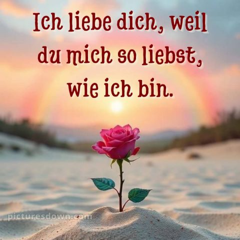 Ich liebe dich bilder bild Rose kostenlos