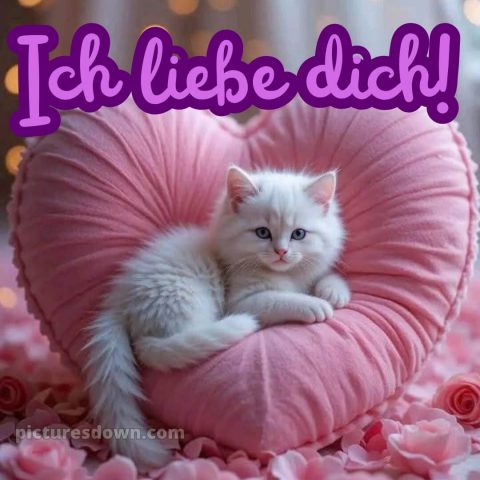 Ich liebe dich bilder bild Kissen kostenlos