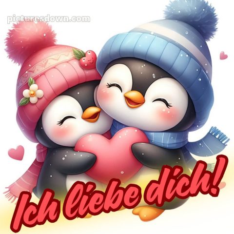Ich liebe dich bilder bild Pinguine kostenlos