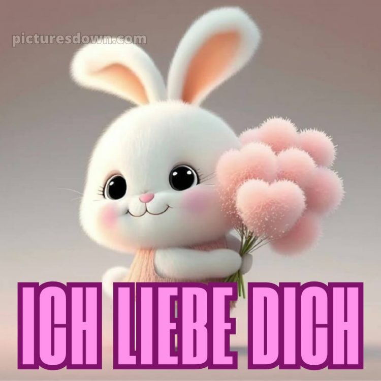 Ich liebe dich bilder bild Hase kostenlos