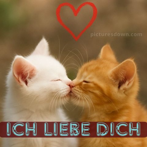 Ich liebe dich bilder gif bild Kuss kostenlos