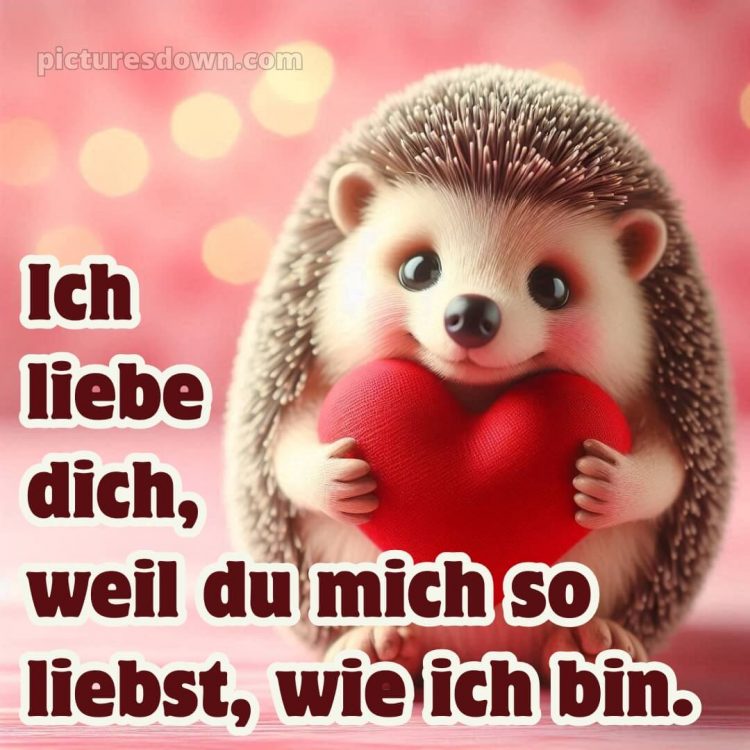 Ich liebe dich bilder gif bild Igel kostenlos