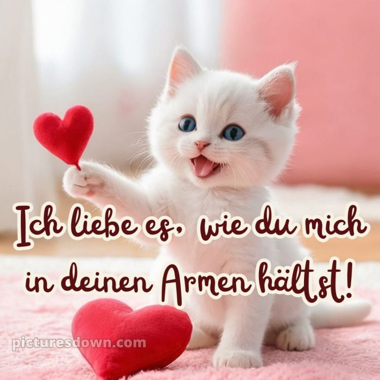Ich liebe dich bilder gif bild Katze kostenlos