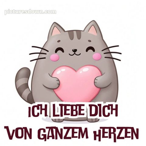 Ich liebe dich bilder gratis bild Katze kostenlos
