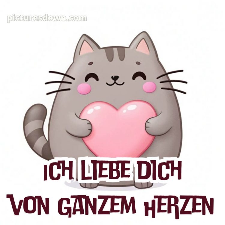 Ich liebe dich bilder gratis bild Katze kostenlos