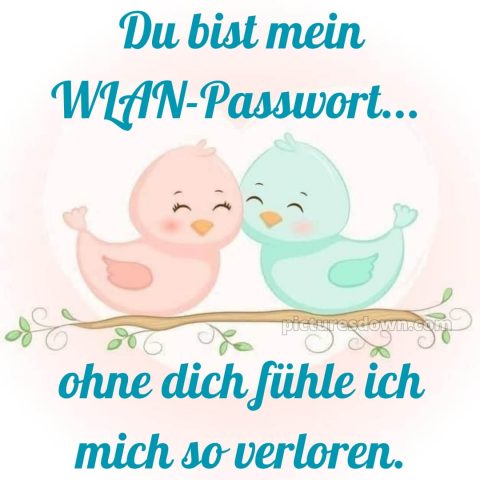 Ich liebe dich bilder lustig bild Vögel kostenlos