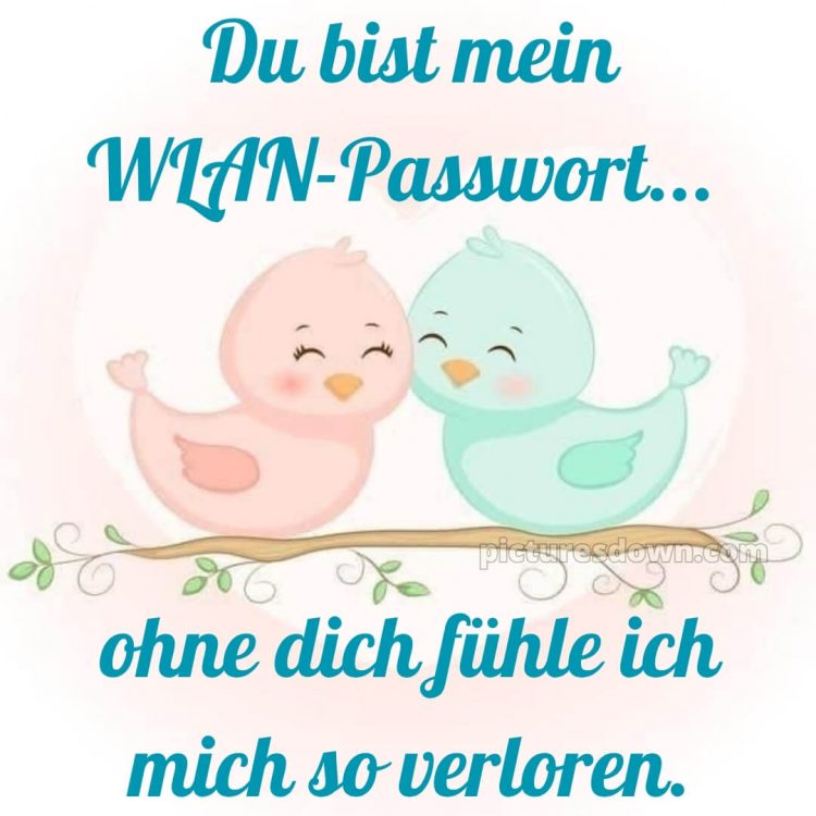 Ich liebe dich bilder lustig bild Vögel kostenlos